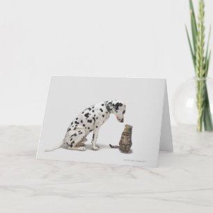 Ein Hund, der eine Katze sieht Karte