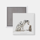 Ein Hund, der eine Katze sieht Magnet (Vorderseite/Rückseite)