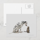 Ein Hund, der eine Katze sieht Postkarte (Vorne/Hinten)