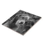 Ein Hund draußen Fliese (Seite)