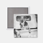 Ein Hund im Auto. Magnet (Vorderseite/Rückseite)