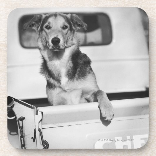 Ein Hund in einem Auto Getränkeuntersetzer (Vorderseite)