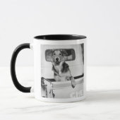 Ein Hund in einem Auto Tasse (Links)