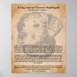 Ein Hund Inspirierte Florence Nightingale, Kranken Poster