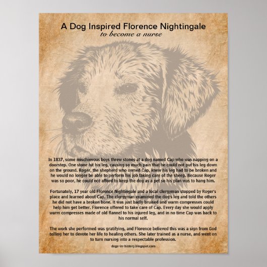 Ein Hund Inspirierte Florence Nightingale, Kranken Poster (Vorne)
