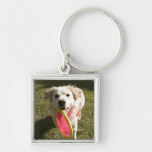 Ein Hund mit einem Frisbee Schlüsselanhänger