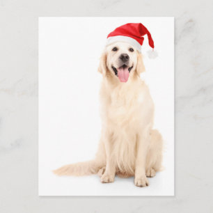 Ein Hund mit einem Weihnachtshut Feiertagspostkarte