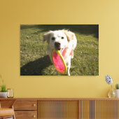 Ein Hund mit einer Frisbee Leinwanddruck (Insitu (Wohnzimmer))