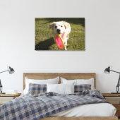 Ein Hund mit einer Frisbee Leinwanddruck (Insitu (Schlafzimmer))