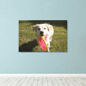 Ein Hund mit einer Frisbee Leinwanddruck (Insitu (Holzboden))
