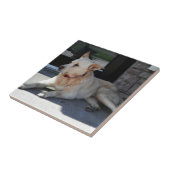 Ein Hund mit Geschichte Fliese (Seite)