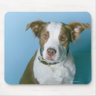 Ein Hund Mousepad