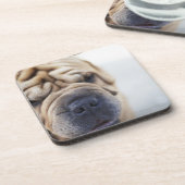 Ein Hund, Nahaufnahme Getränkeuntersetzer (Linke Seite)