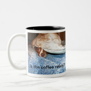 Ein Hund namens Mia - Megaesophagus - Hund Zweifarbige Tasse