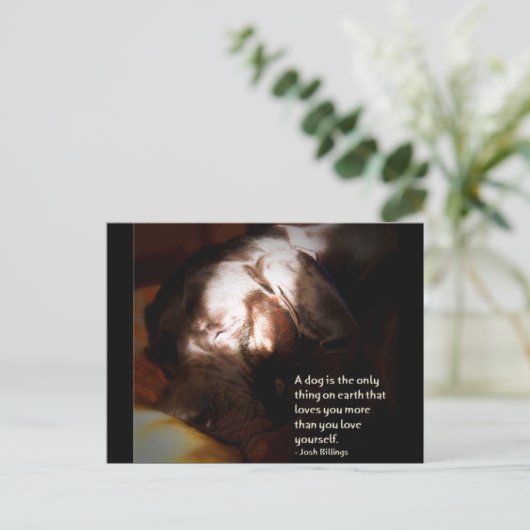 Ein Hund... Postkarte (Stehend Vorderseite)