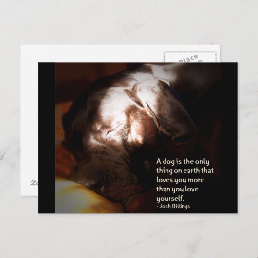 Ein Hund... Postkarte (Vorne/Hinten)