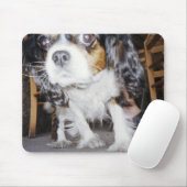Ein Hund schnüffelt nah. Mousepad (Mit Mouse)