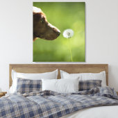 Ein Hund und ein Lüster. Leinwanddruck (Insitu (Schlafzimmer))