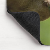 Ein Hund und ein Lüster. Mousepad (Ecke)