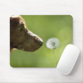 Ein Hund und ein Lüster. Mousepad (Mit Mouse)