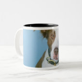 Ein Hund Zweifarbige Tasse (Vorderseite Links)