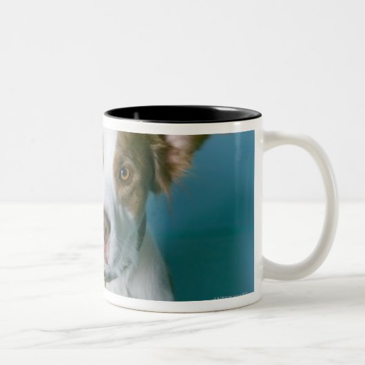 Ein Hund Zweifarbige Tasse (Rechts)
