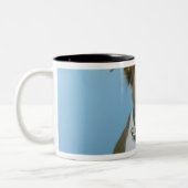 Ein Hund Zweifarbige Tasse (Links)
