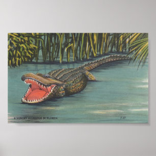 Ein Hungeralligator in Florida Poster