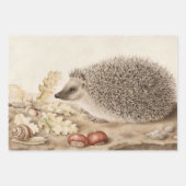 Ein Igel in der Landschaft von Giovanna Garzoni Geschenkpapier Set (Vorderseite)
