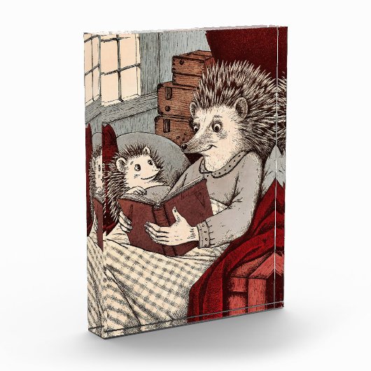 Ein Igel in einer Decke, die ein Buch Fotoblock (Links)