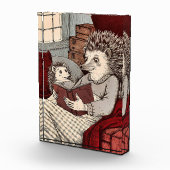 Ein Igel in einer Decke, die ein Buch Fotoblock (Rechts)