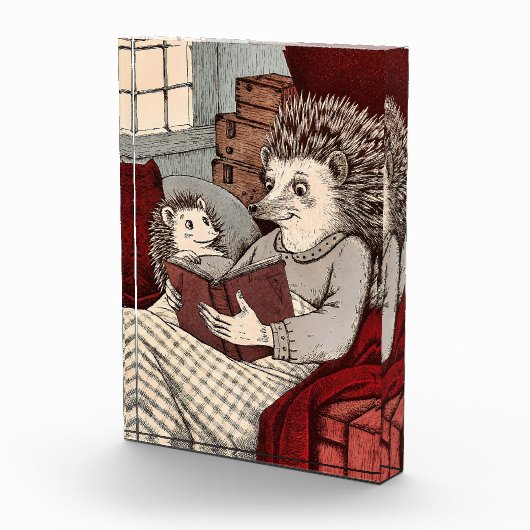 Ein Igel in einer Decke, die ein Buch Fotoblock (Rechts)