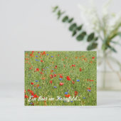 Ein im Bett Kornfeld... Postkarte (Stehend Vorderseite)