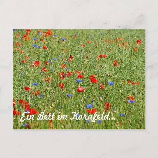 Ein im Bett Kornfeld... Postkarte (Vorderseite)