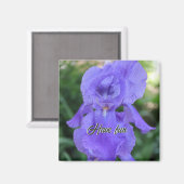 Ein imponierender Iris-delikater Lila Tänzer Magnet (Vorderseite/Rückseite)