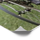 EIN INTIMATE PORTRAIT DER TOUR DE FRANCE IN DEN 20 POSTER (Ecke)