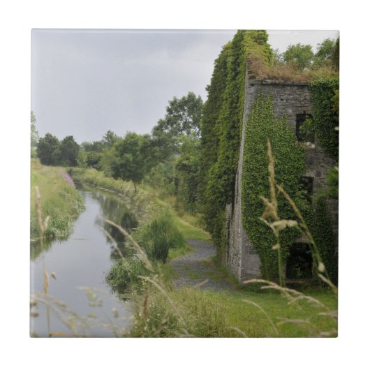 Ein irischer Kanal Fliese (Vorderseite)