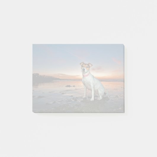 Ein Jack Russell Sitting Beach| Brighton Beach Post-it Klebezettel (Vorderseite)