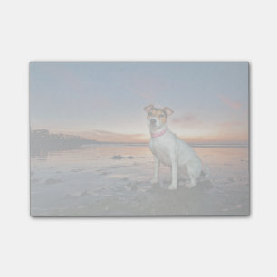 Ein Jack Russell Sitting Beach  Brighton Beach Post-it Klebezettel
