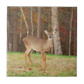 Ein Jägertraum Fliese (Vorderseite)