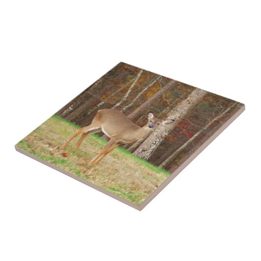 Ein Jägertraum Fliese (Seite)