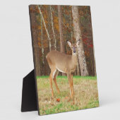 Ein Jägertraum Fotoplatte (Seite)