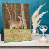 Ein Jägertraum Fotoplatte (Seite)