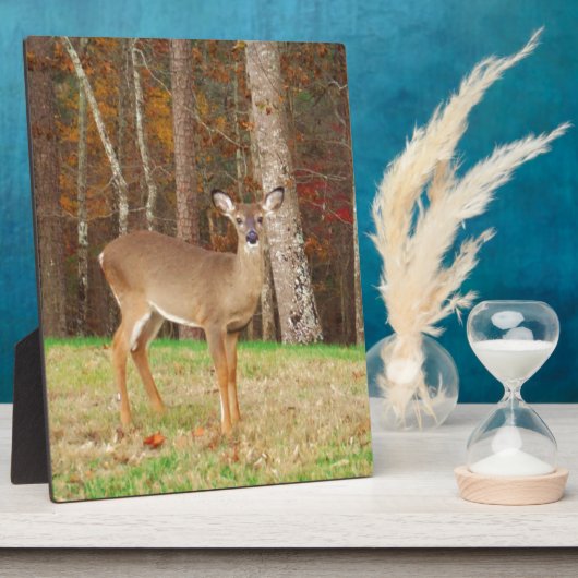 Ein Jägertraum Fotoplatte (Seite)