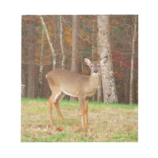 Ein Jägertraum Notizblock (Vorderseite)