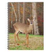 Ein Jägertraum Notizblock (Vorderseite)