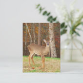 Ein Jägertraum Postkarte (Stehend Vorderseite)