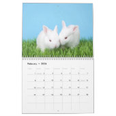 Ein Jahr Albino Bunnies Kalender (Feb 2026)