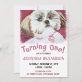 Ein Jahr alt schih Tzu einladen Einladung (Vorderseite)