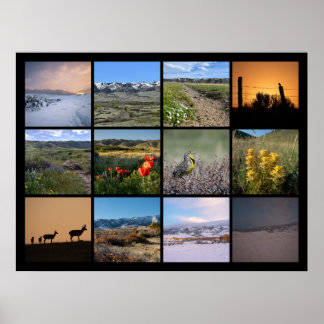 Ein Jahr am Fuße des Kaspergebirges 2024 Poster